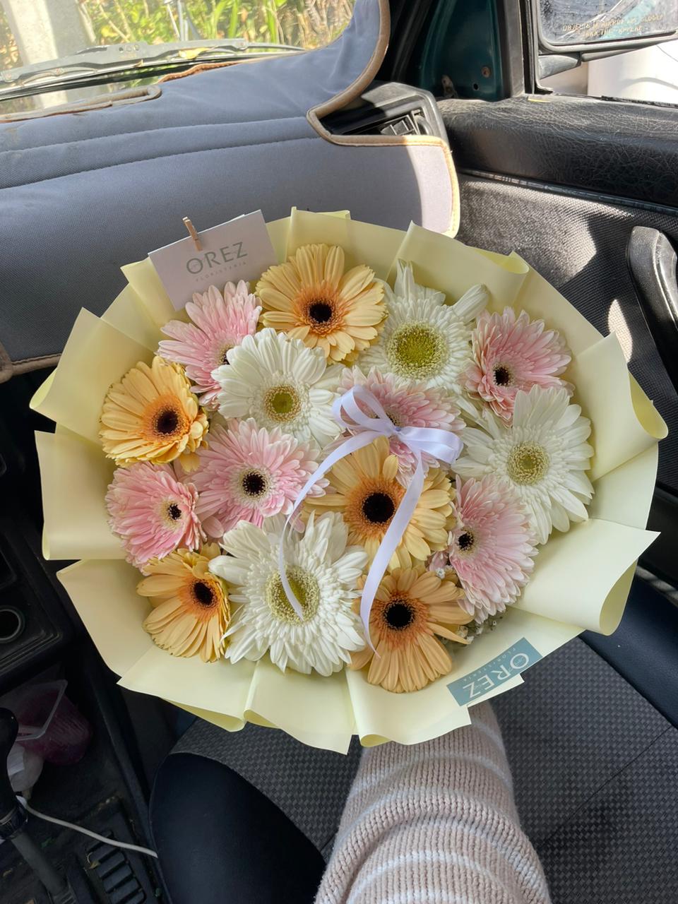 15 Gerberas Pasteles